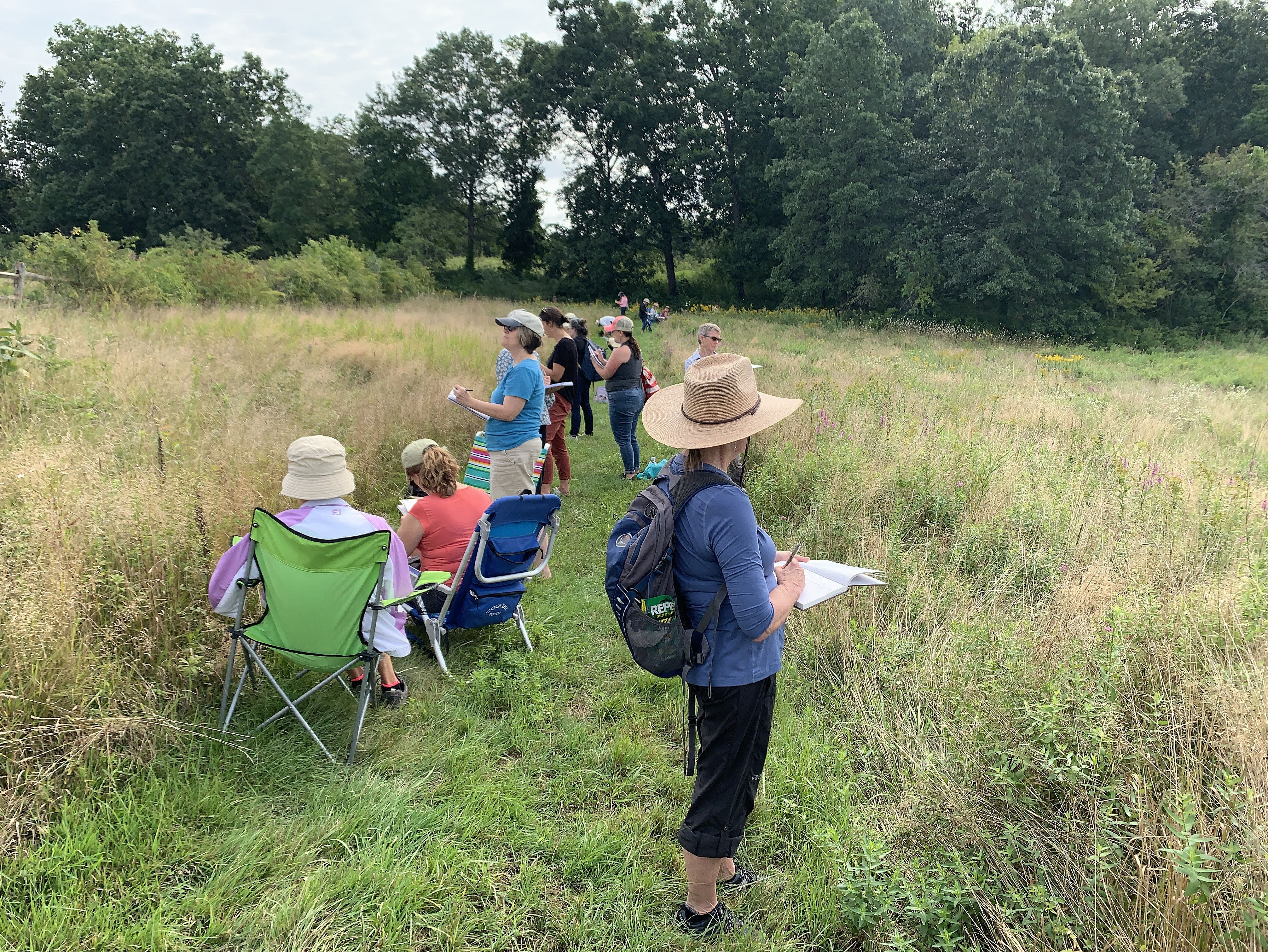 Second Sunday Sketching - Donibristle