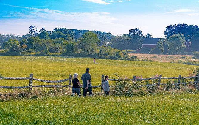 Castle Neck Reservation