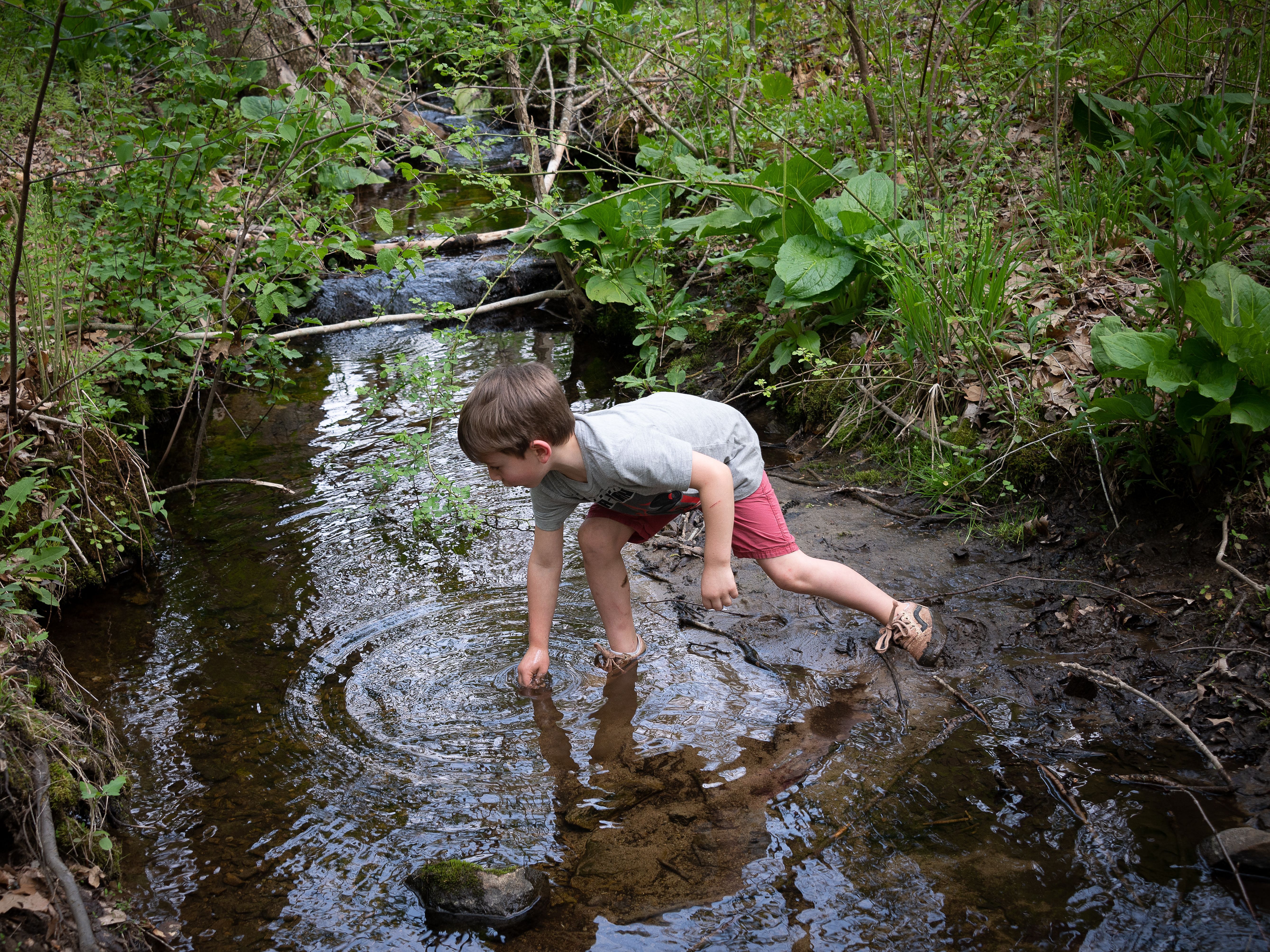 Sawmill Brook
