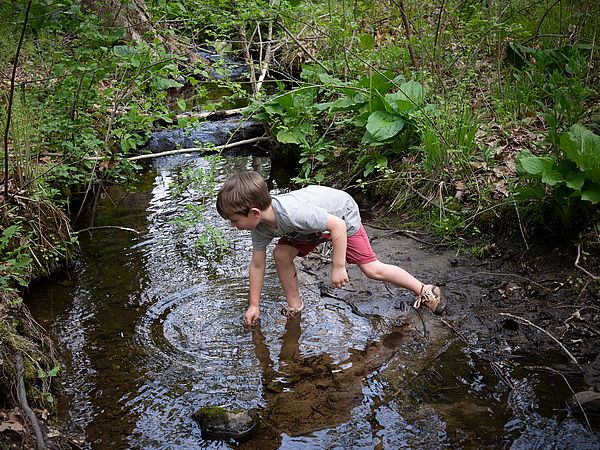 Sawmill Brook