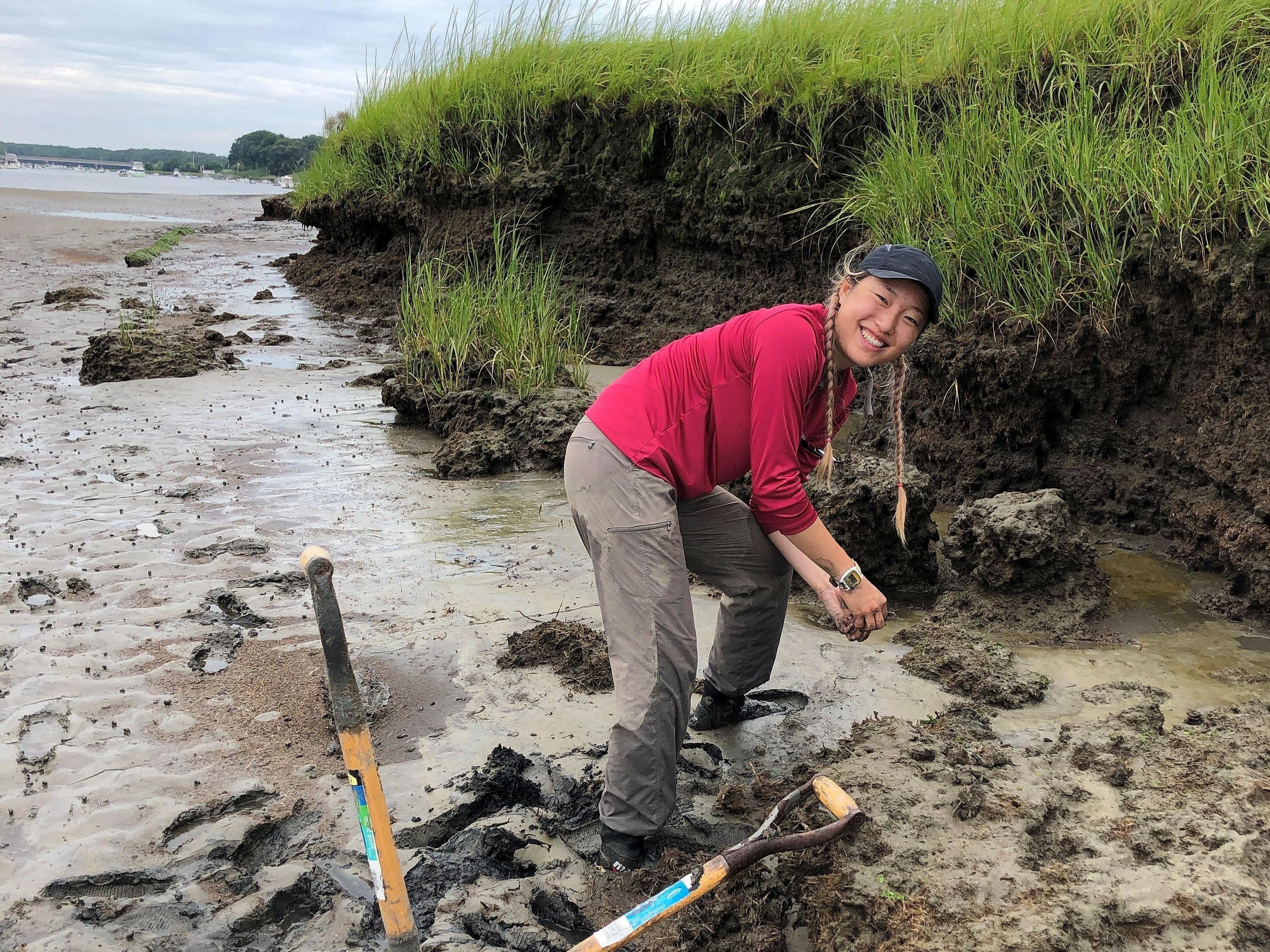 Walk with a Scientist: Wild Oyster Beds in the Great Marsh