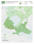Amesbury Town Forest, Amesbury