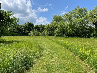 Newman Farm Meadow