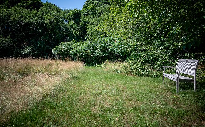 Newman Farm Meadow