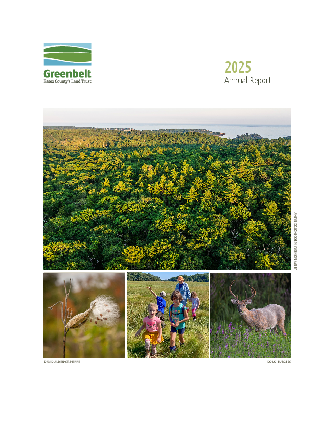 AnnualReport_2025.indd