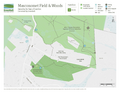 MascoField Field & Woods, Hamilton