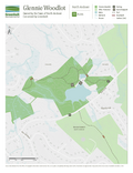 Glennie Woodlot, North Andover