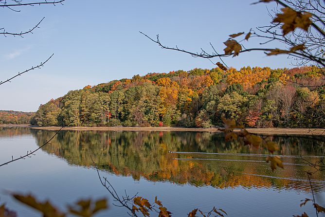 Indian Hill Farm