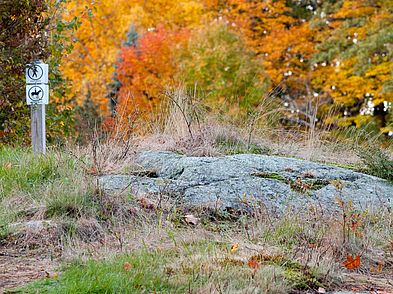 Ordway Reservation