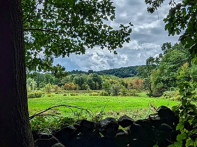 Farnsworth Reservation