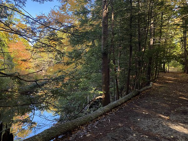 Julia Bird Reservation