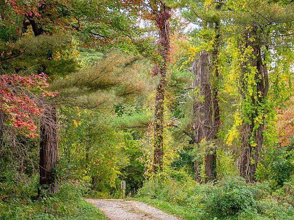 Donovan Sagamore Hill Reservation
