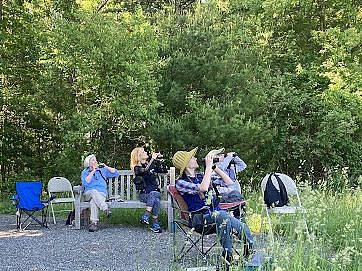 Seated Birding @ Kamon Farm
