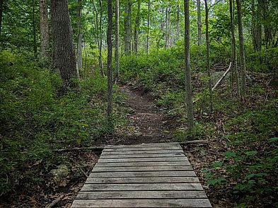 Woodland Acres