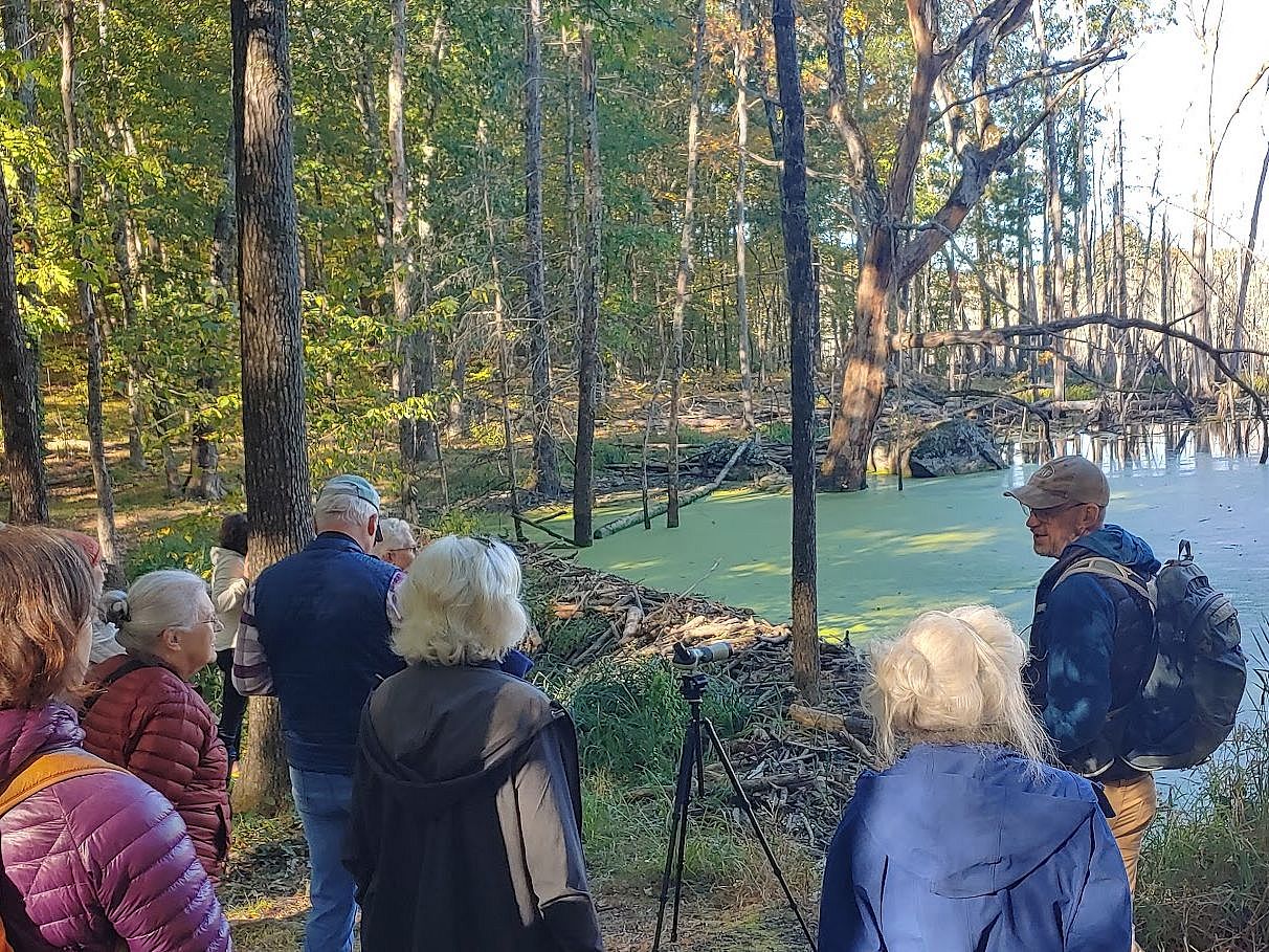 Thursday Morning Birding Club @ Beverly Commons