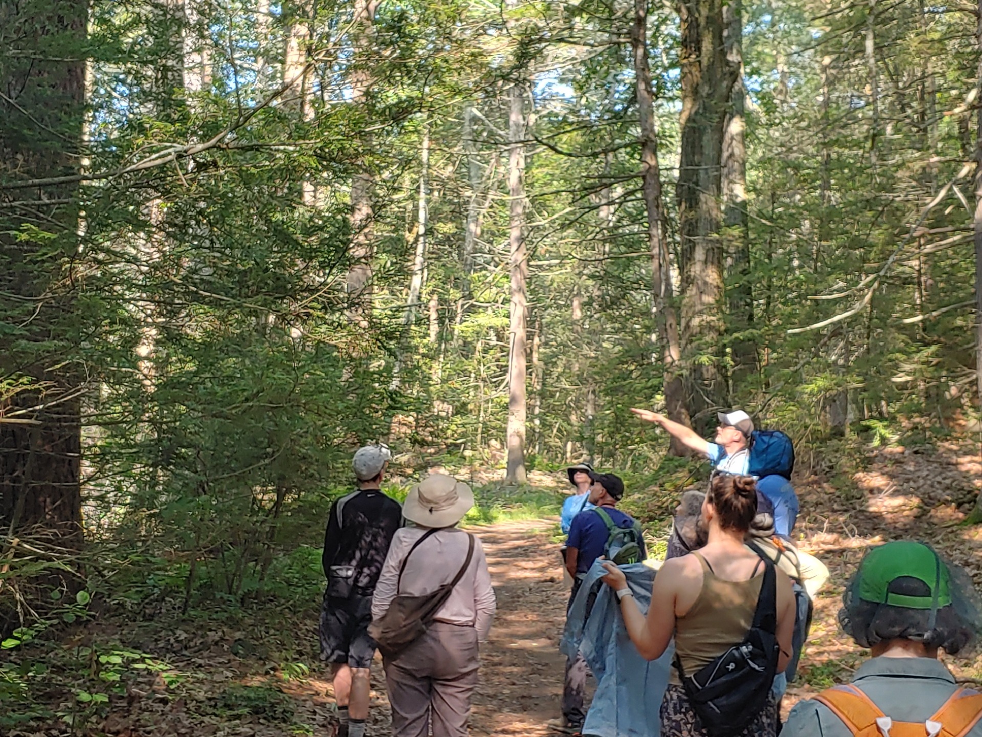 Thursday Morning Birding Club @ Lower Artichoke River Woods
