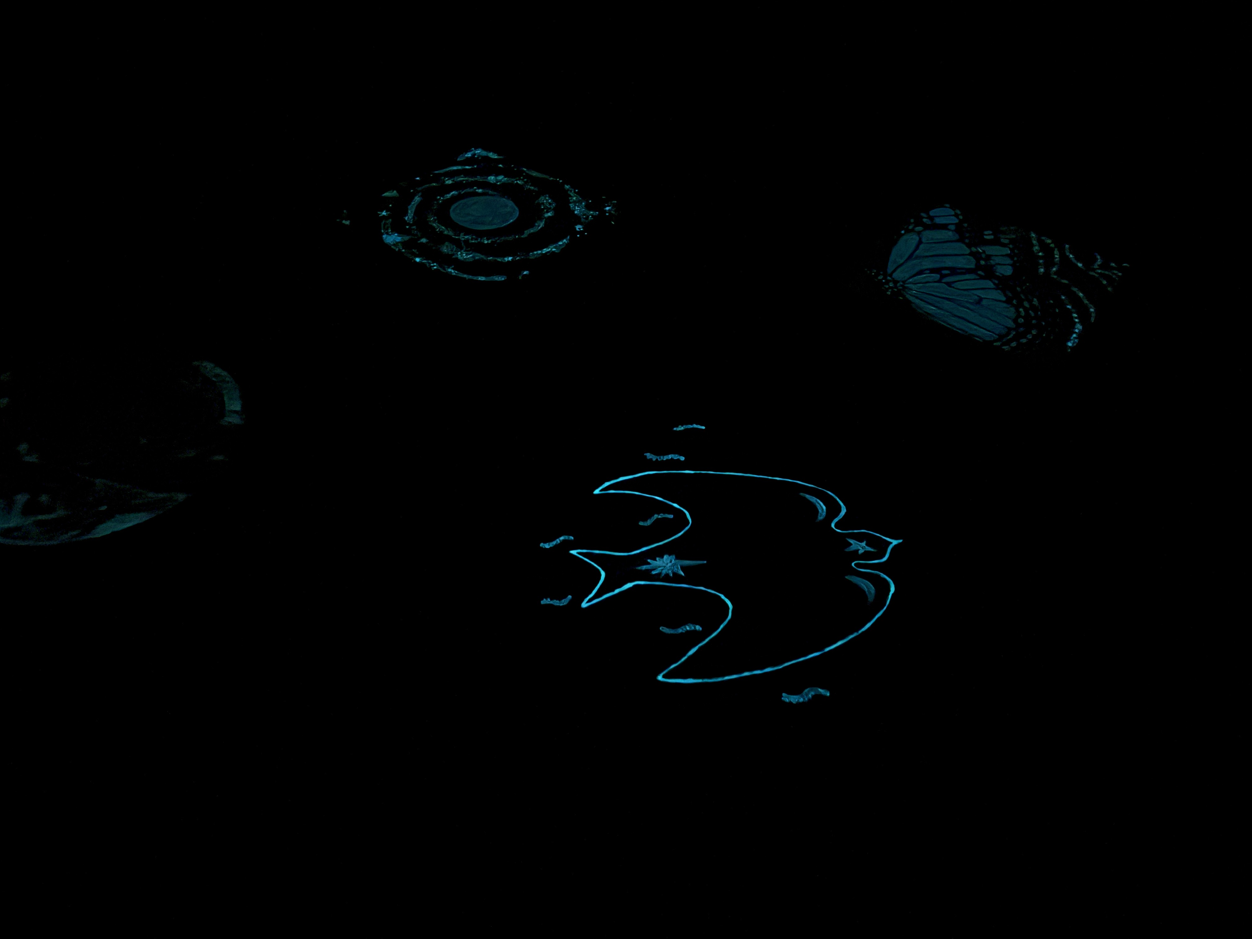 Photo of four glowing drawings of a bird, a moon, a butterfly and a galaxy, against a black background.