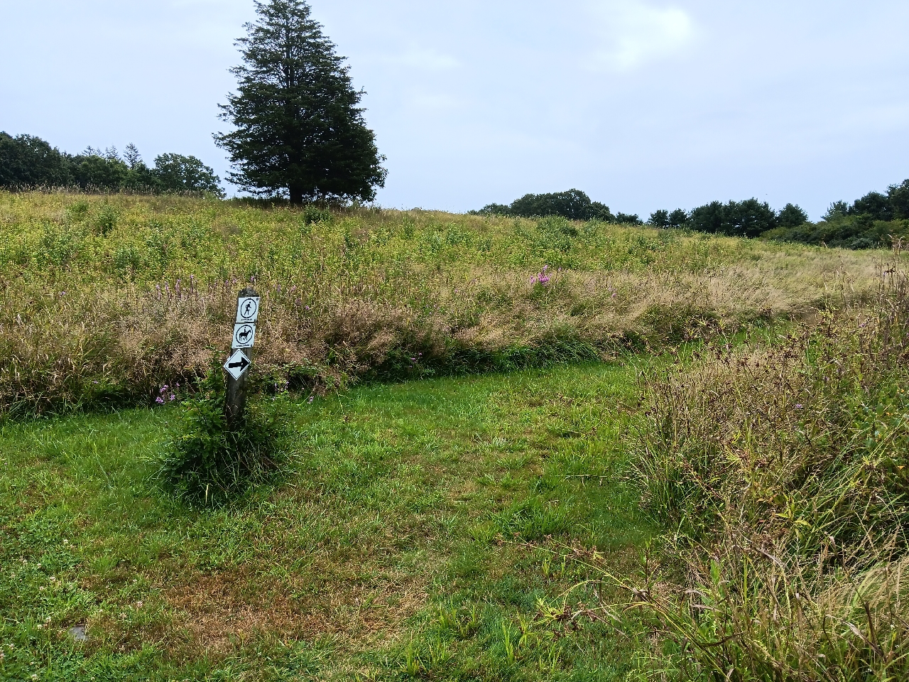 Stewardship in Action - A Walk Through New England Biolabs